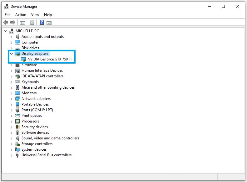 Développez les « adaptateurs d'affichage » pour trouver le nom de votre carte graphique.